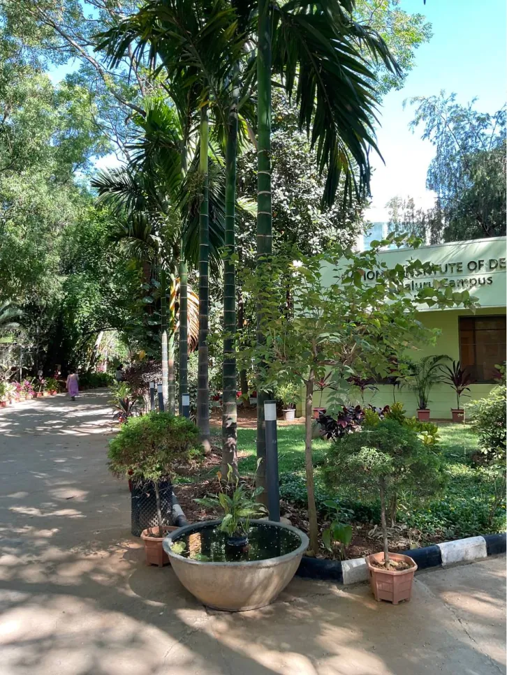 Pathway among plants with a sign location marked in pink